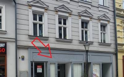 lokal użytkowy Bielsko-Biała ul. 11 Listopada 48 113,32 m2